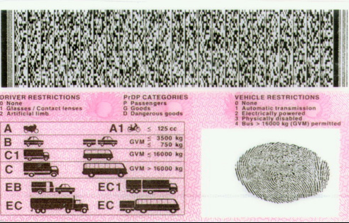Image result for sa license