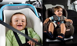 Image result for Seatbelts children