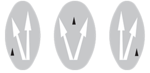 They are indicating an increased in the number of lanes ahead.